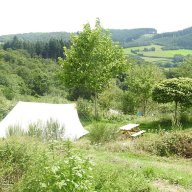 La forêt du Morvan