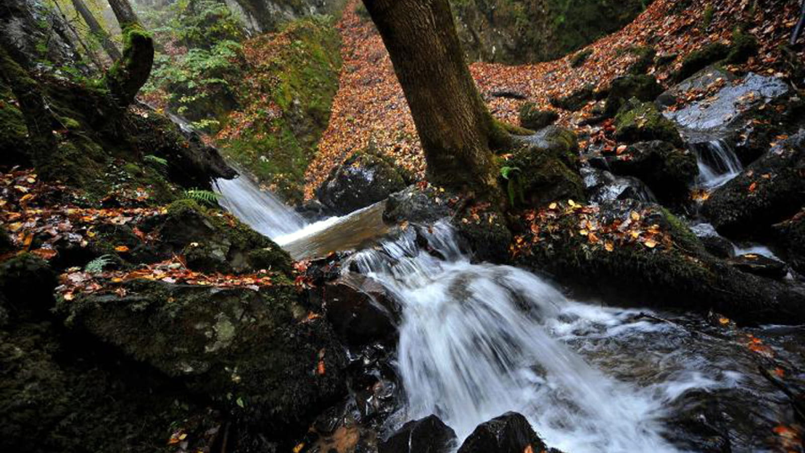 Cascade de la Dragne