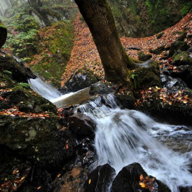 Cascade de la Dragne