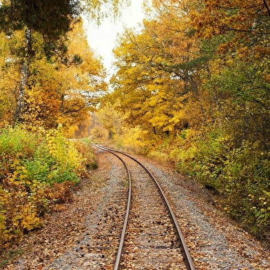 Vélorail du Bazois Morvan