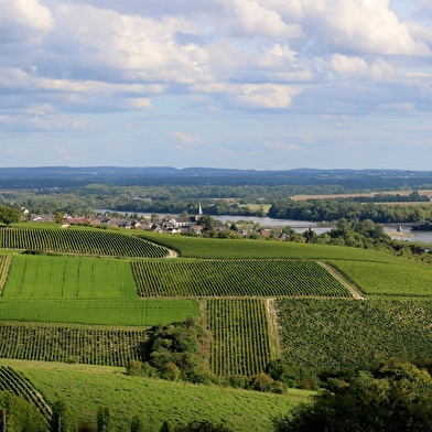 Pouilly-sur-Loire