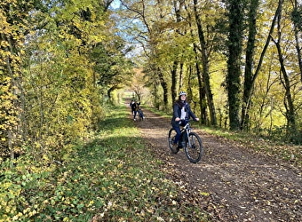 Location de vélos à assistance électrique à Cosne-Cours-sur-Loire - COSNE-COURS-SUR-LOIRE