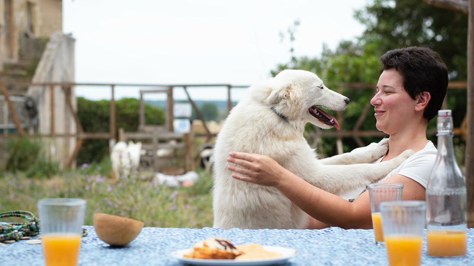 Wood'Cie Ranch Canin