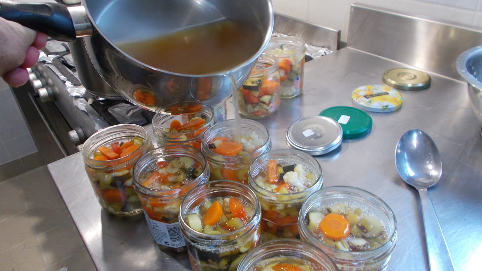 Formation lactofermentation