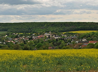 Le sentier des Orchidées - CHAULGNES