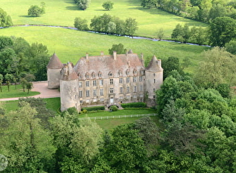 Château de Chitry-les-Mines - CHITRY-LES-MINES