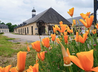 Le circuit des Forges Royales - GUERIGNY