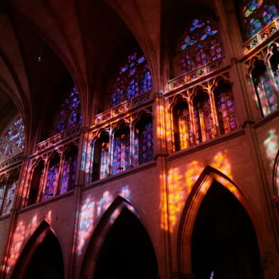 Regards sur la Cathédrale