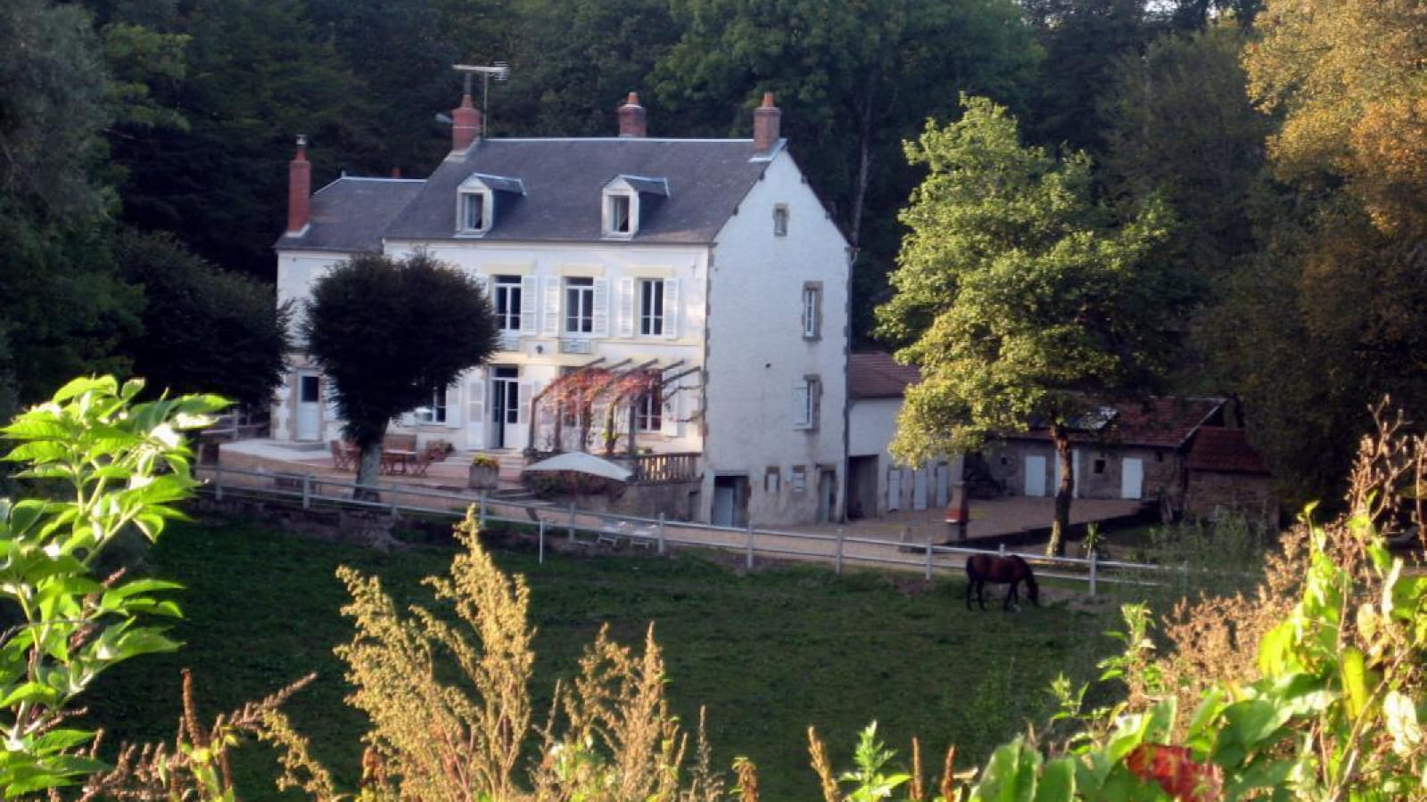 l'Etang Jaune