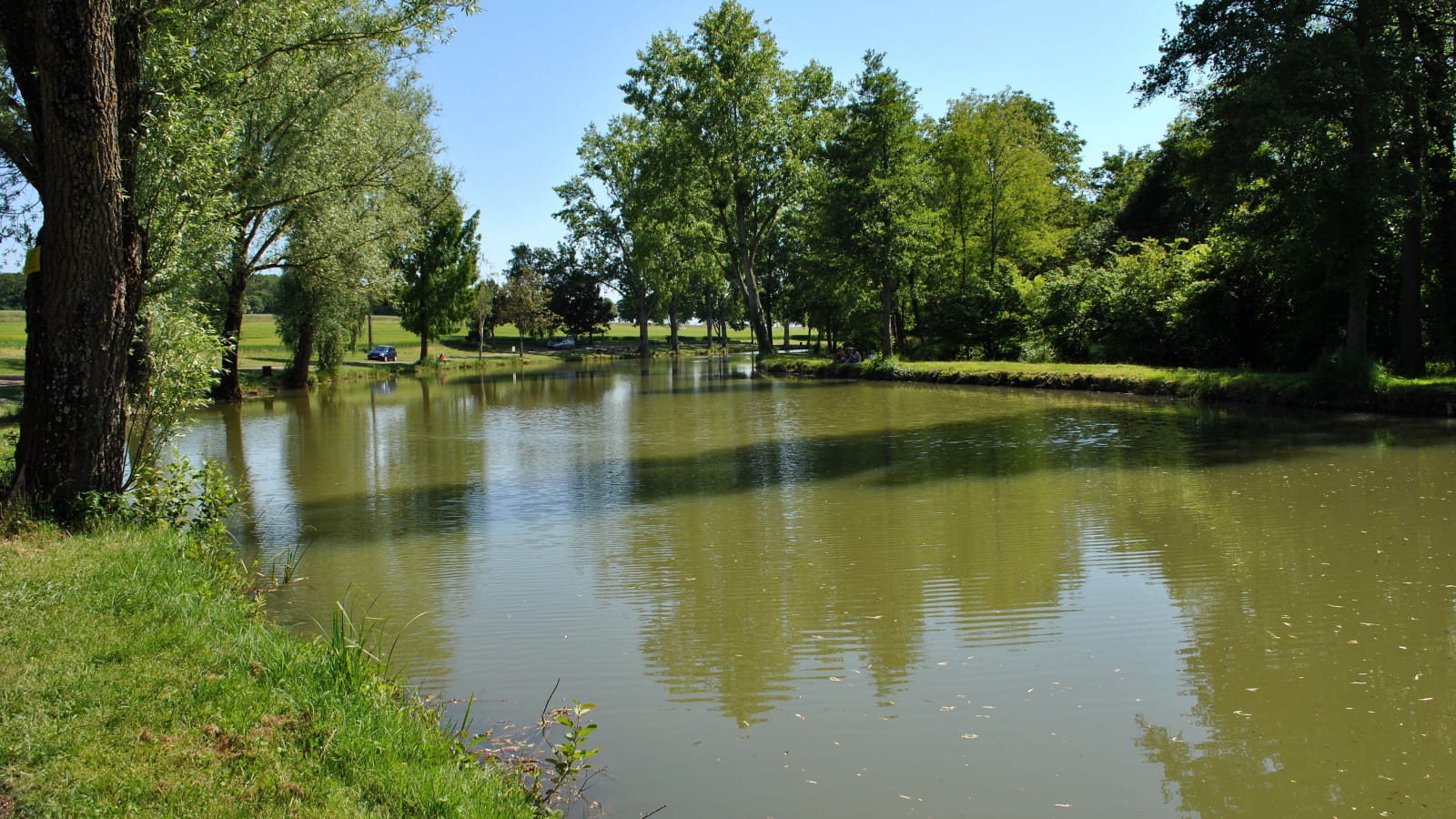 Etang de Sourdes