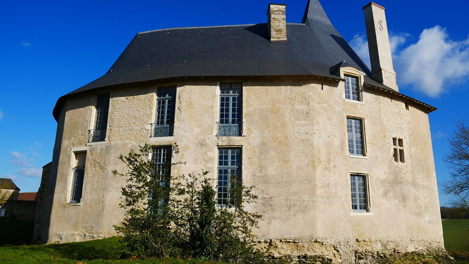 Cinéma en plein air