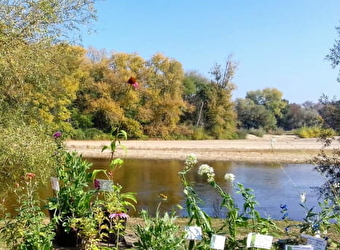 Vin, saveurs et plantes d'automne - APREMONT-SUR-ALLIER