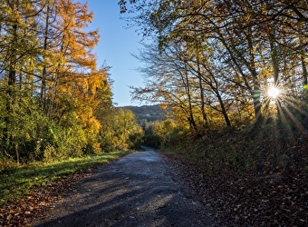 Location de vélos électriques Au Cyclo DéChaîné - SEMELAY