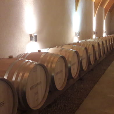 Caves de Pouilly sur Loire