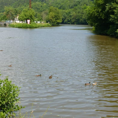 Auto-guide multimédia via application GuidiGo 'Clamecy autour de l'eau'