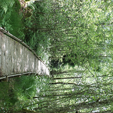Tourbière de Champgazon