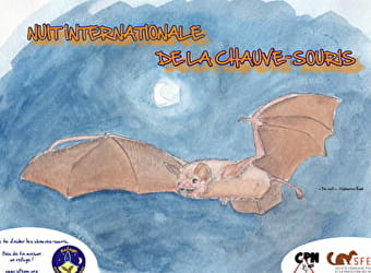 Nuit de la Chauve-Souris - CHANTENAY-SAINT-IMBERT