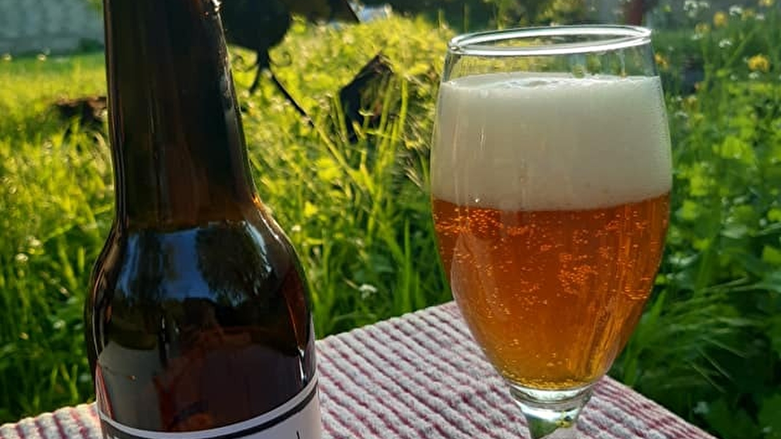 Microbrasserie de la Courge