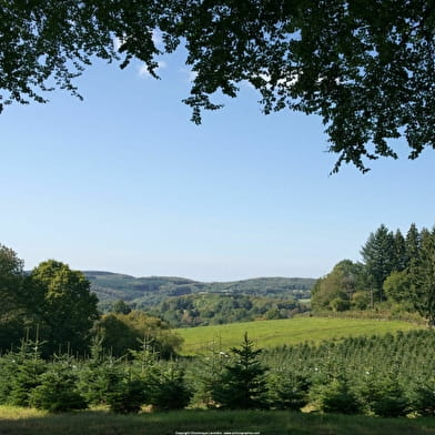 Association française du sapin de Noël naturel