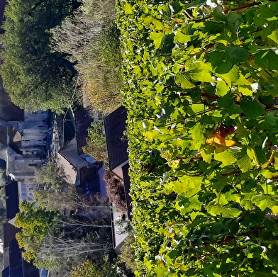 Abbaye de Saint-Laurent