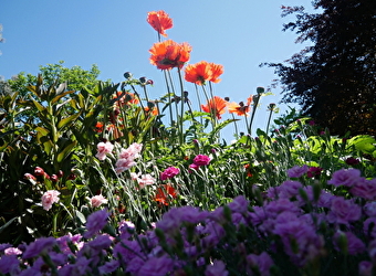 Rendez vous aux Jardins sur le thème 'Jardins de pierres, pierres de jardins' - NEVERS