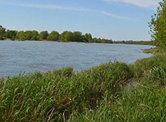 De l'eau et des arbres - LA CHARITE-SUR-LOIRE