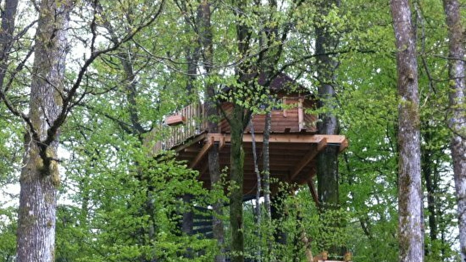 Cabane dans les arbres au lac des Settons