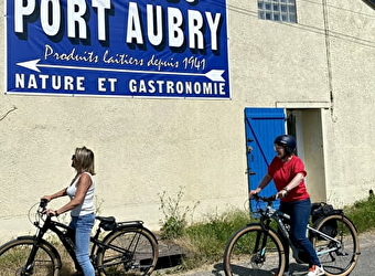 En bord de Loire entre la ferme du Port Aubry et Villechaud - COSNE-COURS-SUR-LOIRE