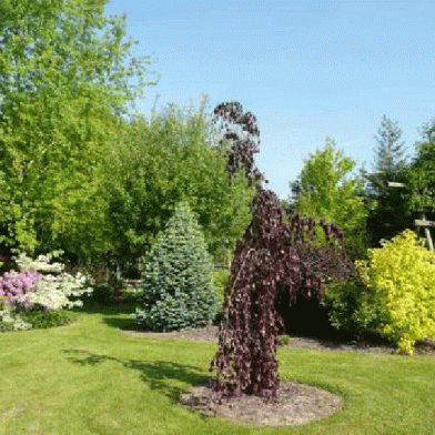 Arboretum Les Feuilles Fleuries