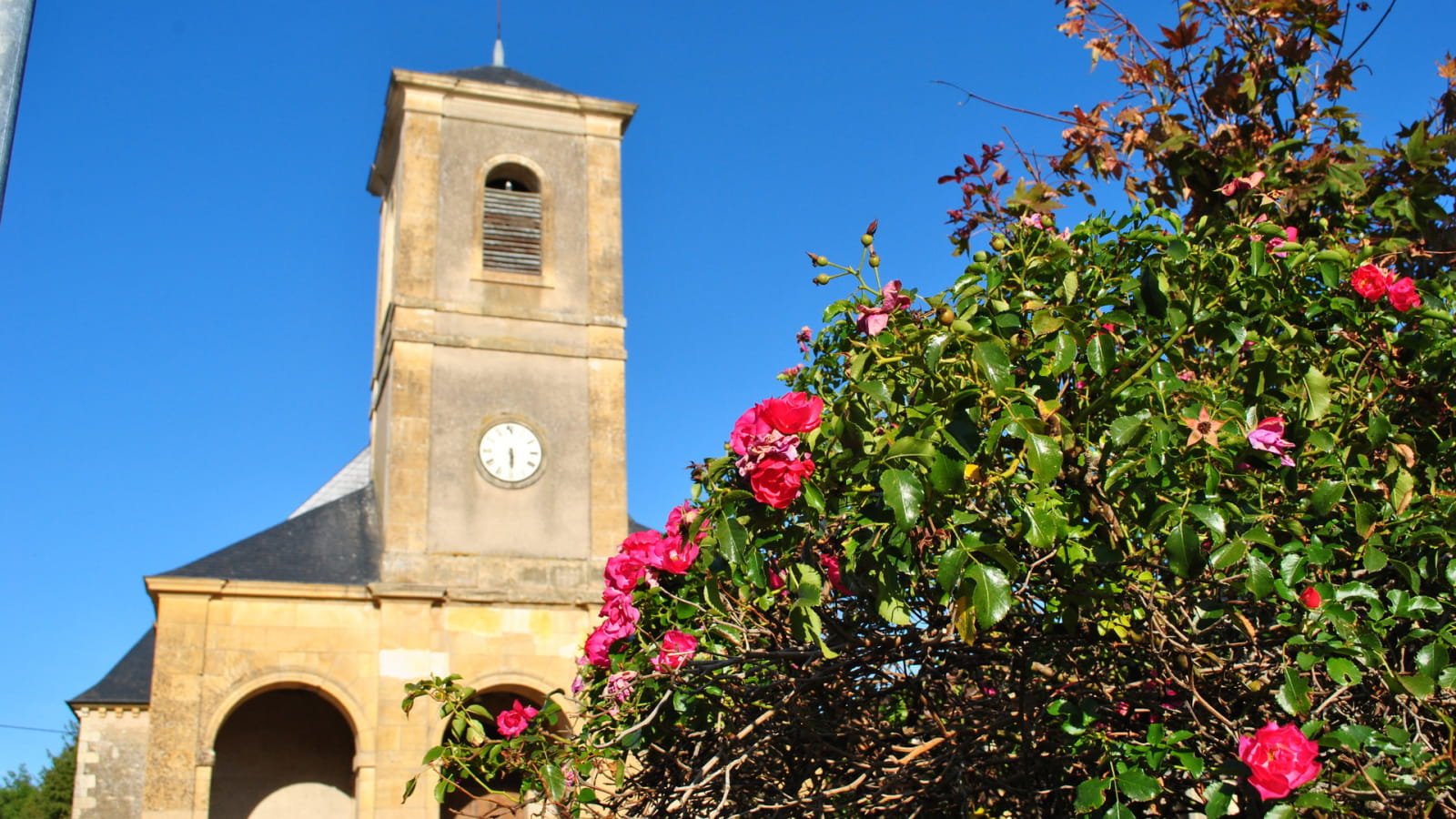 Le sentier de Chaillant