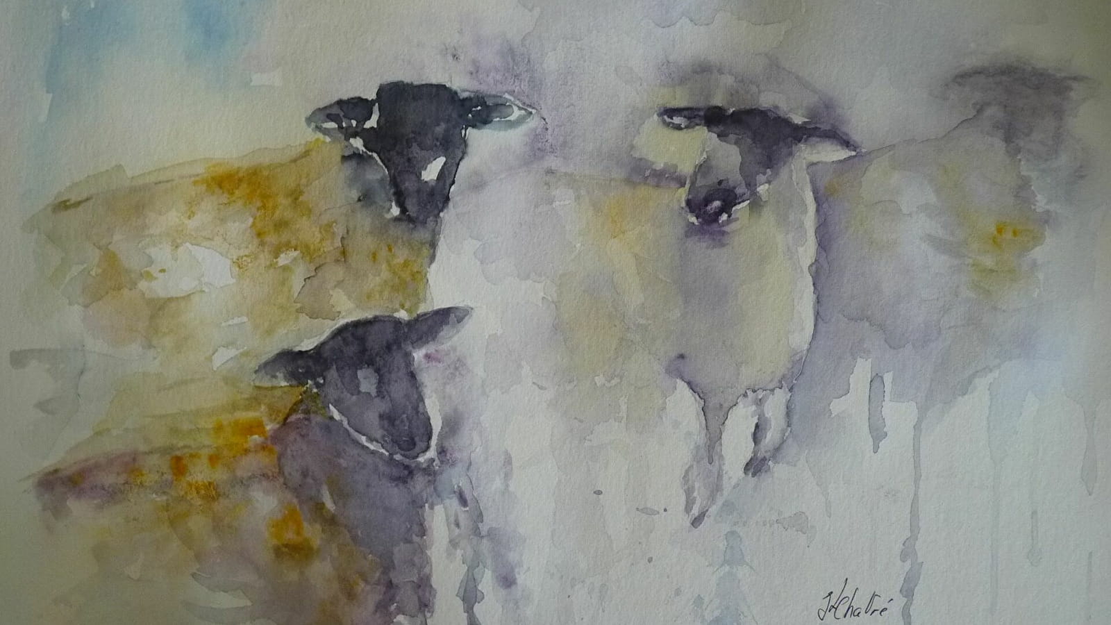 Exposition : Cohabitation homme-animal