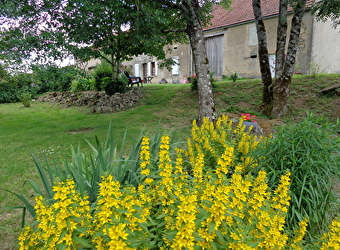 La maison de Marie - CERVON