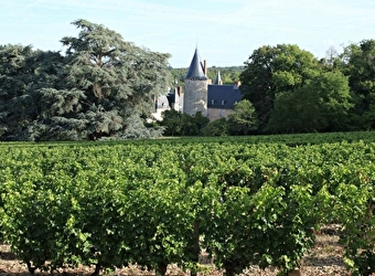 Château de Tracy - TRACY-SUR-LOIRE