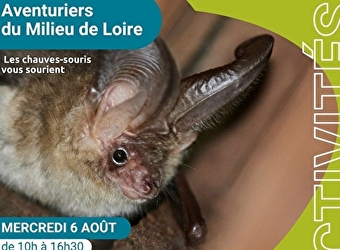 Les aventuriers du milieu de Loire, journée nature pour les 6-12 ans spéciale 'Les chauves-souris vous sourient' - POUILLY-SUR-LOIRE