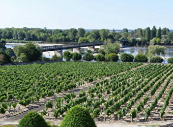 Gîte Loire et Vignoble - POUILLY-SUR-LOIRE