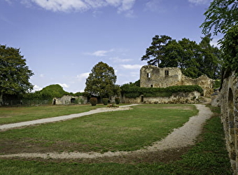 Vieux Château de Moulins-Engilbert - MOULINS-ENGILBERT