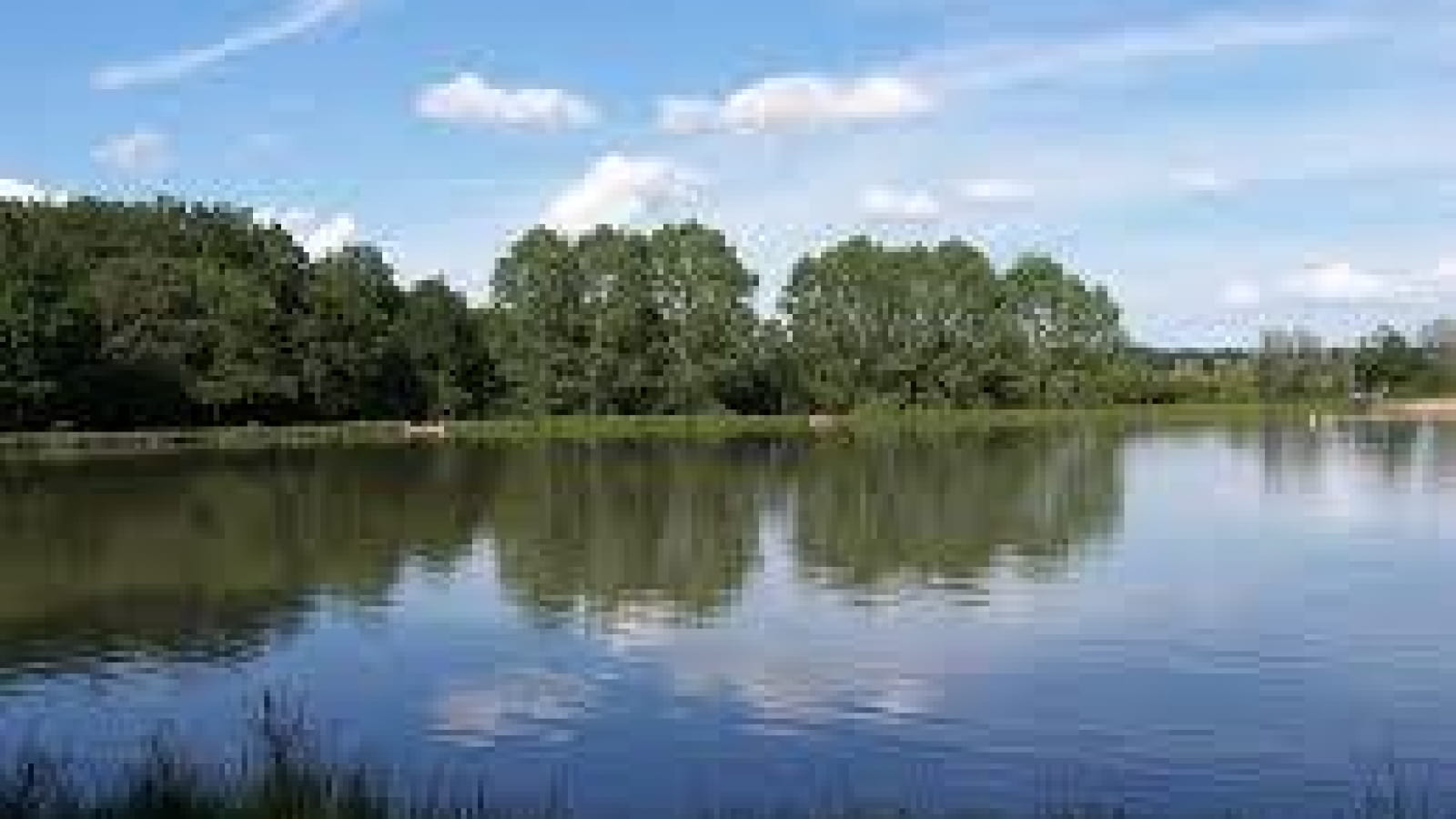 Le Chalet du Camping