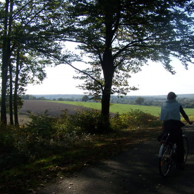 Randonnées cyclos en Pays Charitois