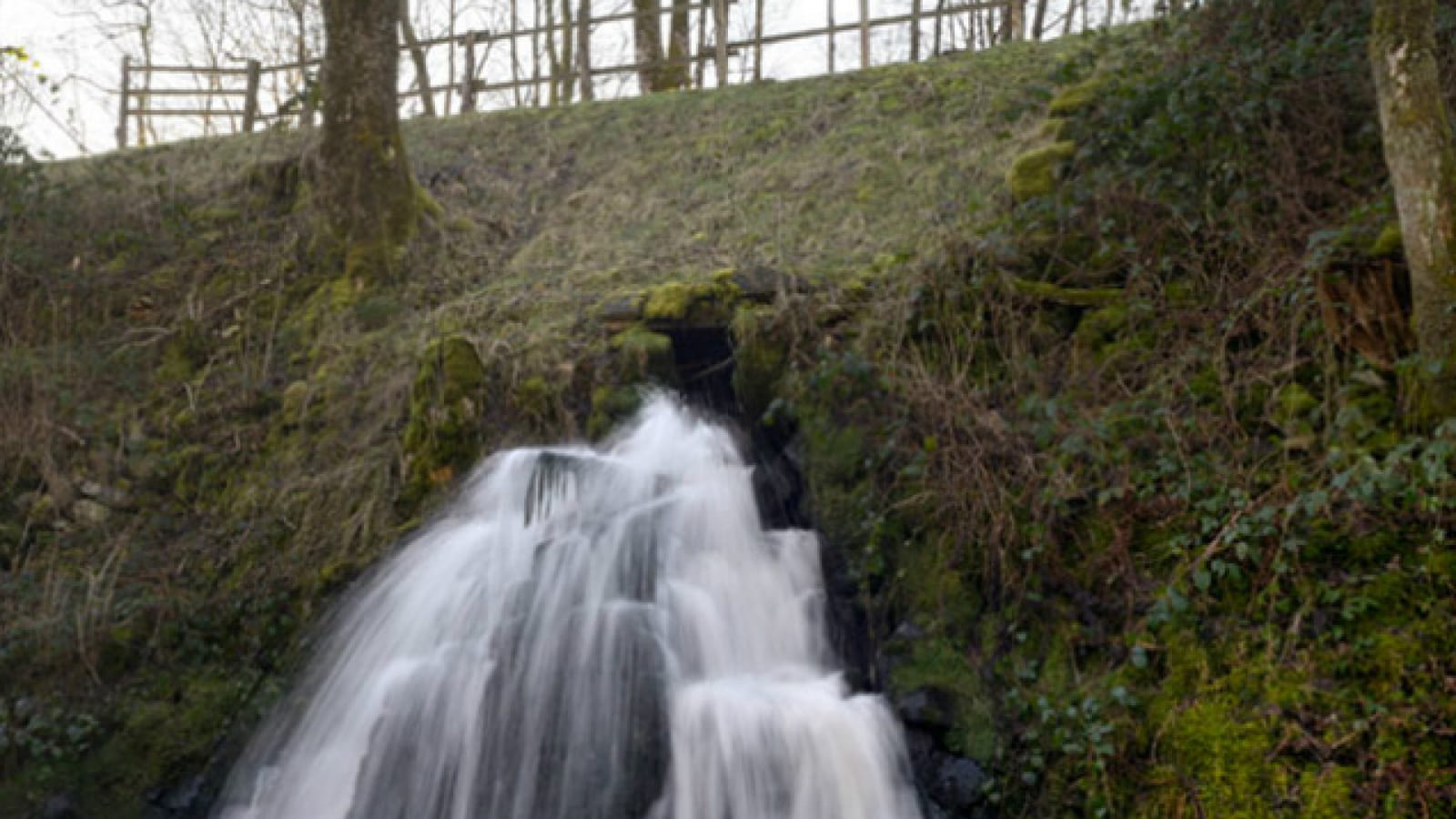 Balade numérique : sentier de la nature des Sources de l'Yonne