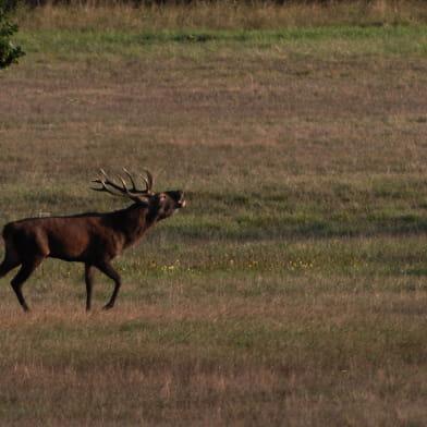 Loire Nature Découverte