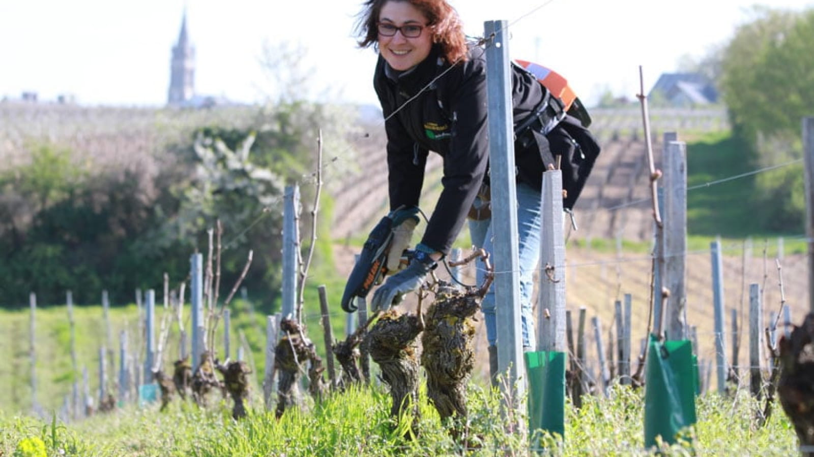 Domaine Marielle Michot