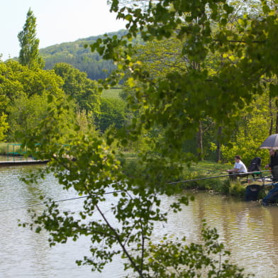 Carpodrome de l'Etang de la Fougeraie