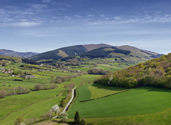 Circuit entre roches et Mont Beuvray - LAROCHEMILLAY