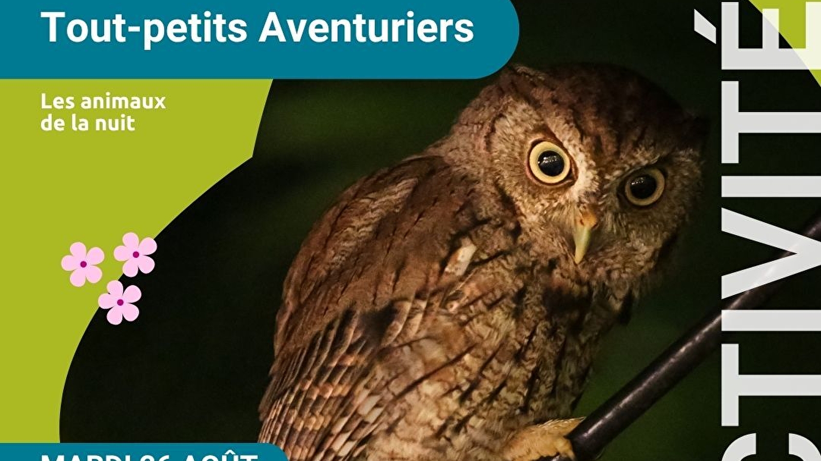 Les Tout-petits Aventuriers - matinée pour les moins de 6 ans - spéciale 'les animaux de la nuit'