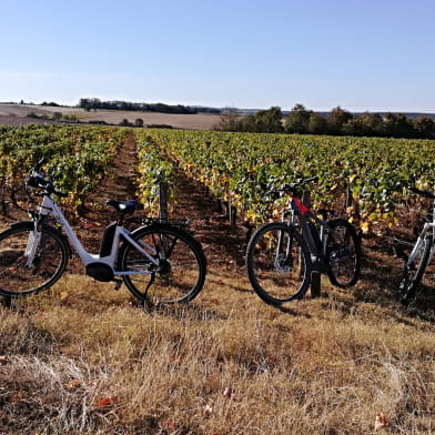 Circuit vélo : de Cosne-Cours-sur-Loire à Pouilly-sur-Loire