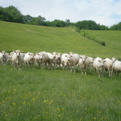 GAEC de l'Ouche à la Ville