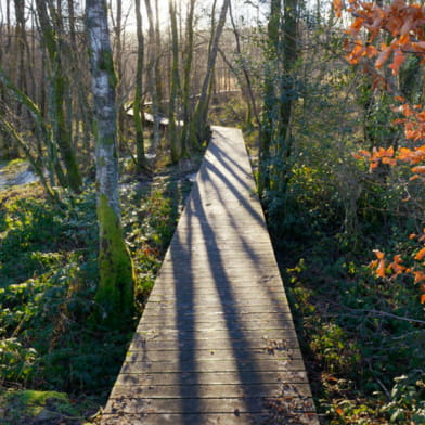 Balade numérique : sentier de la nature des Sources de l'Yonne