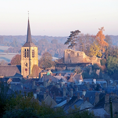 Vieux Château de Moulins-Engilbert