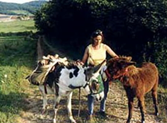 Les Escapades de Steph'âne - LORMES
