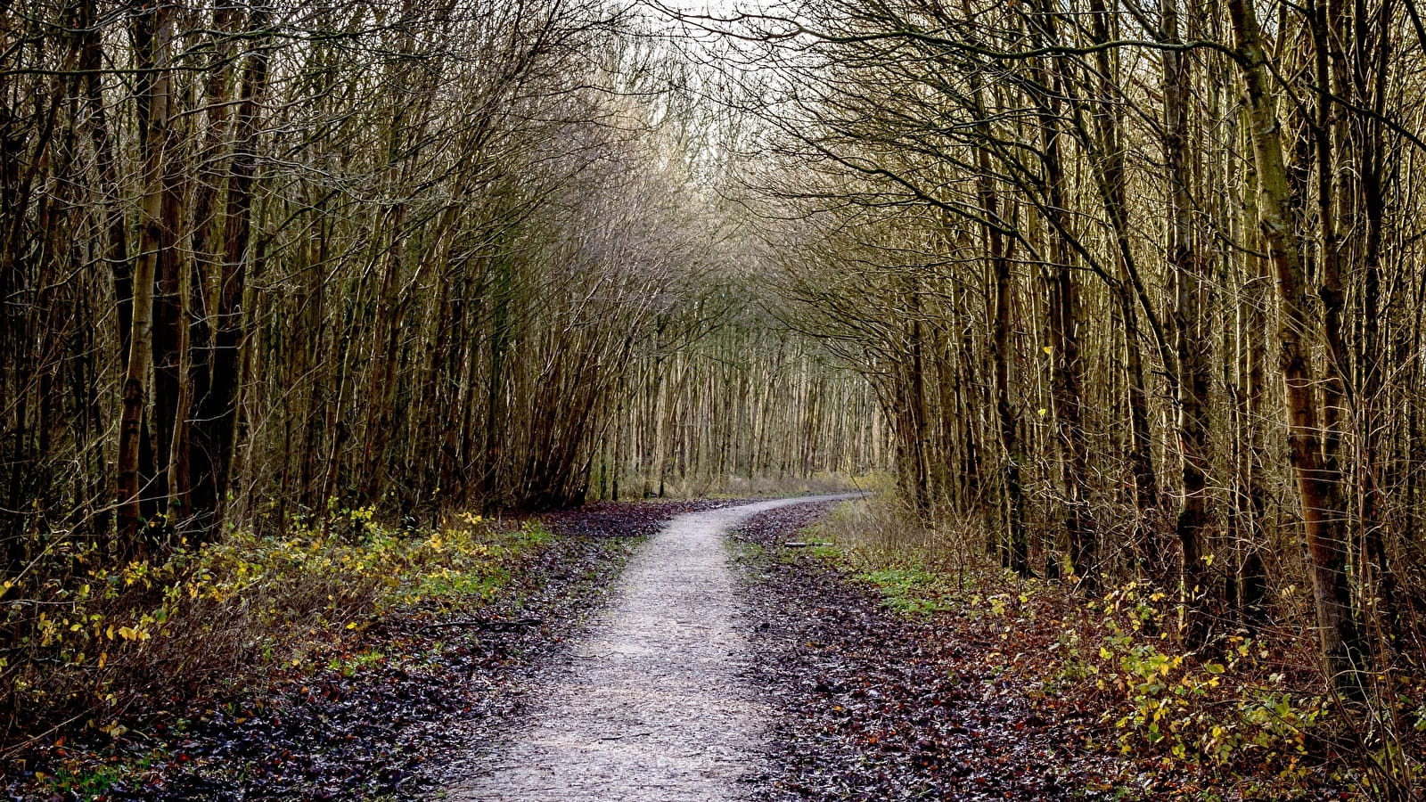 Randonneurs du Bazois 'Traîne-Savates'